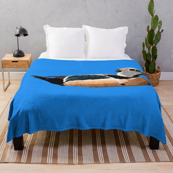 Item preview, Stellers Eider Sitting Color Design designed and sold by designsasstultd.
