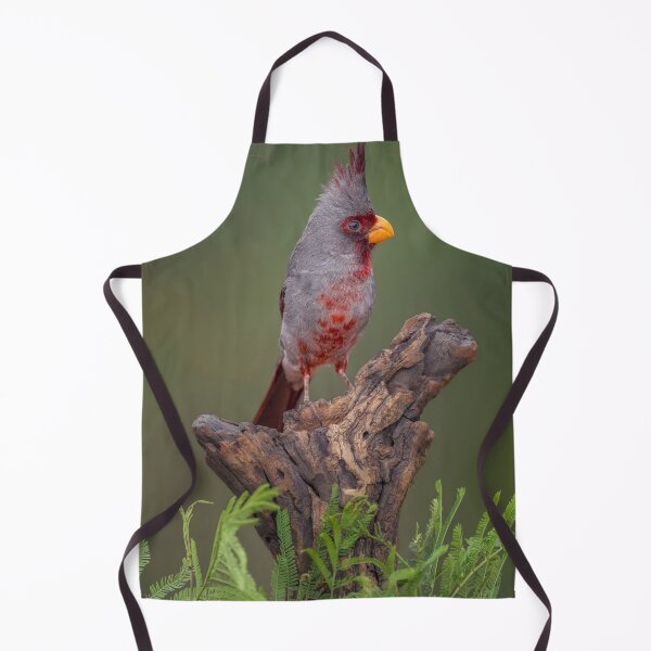 Item preview, Desert Cardinal or Pyrrhuloxia in Texas designed and sold by PhotoArt by Joan Carroll.