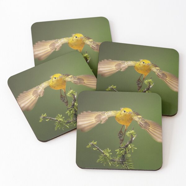 Item preview, Yellow Warbler Takeoff South Texas designed and sold by PhotoArt by Joan Carroll.