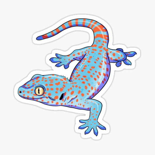 Item preview, Tokay Gecko designed and sold by HauntedHerps.