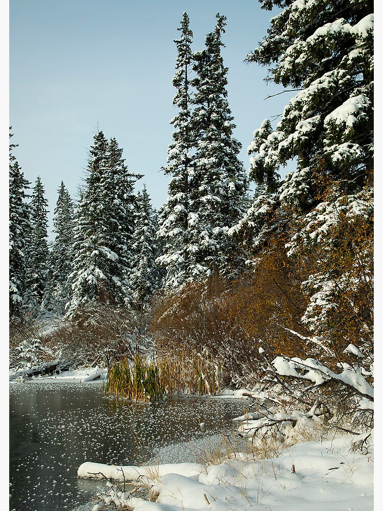 Thumbnail 2 of 2, Greeting Card, Happy Winter designed and sold by WildRootsArt.