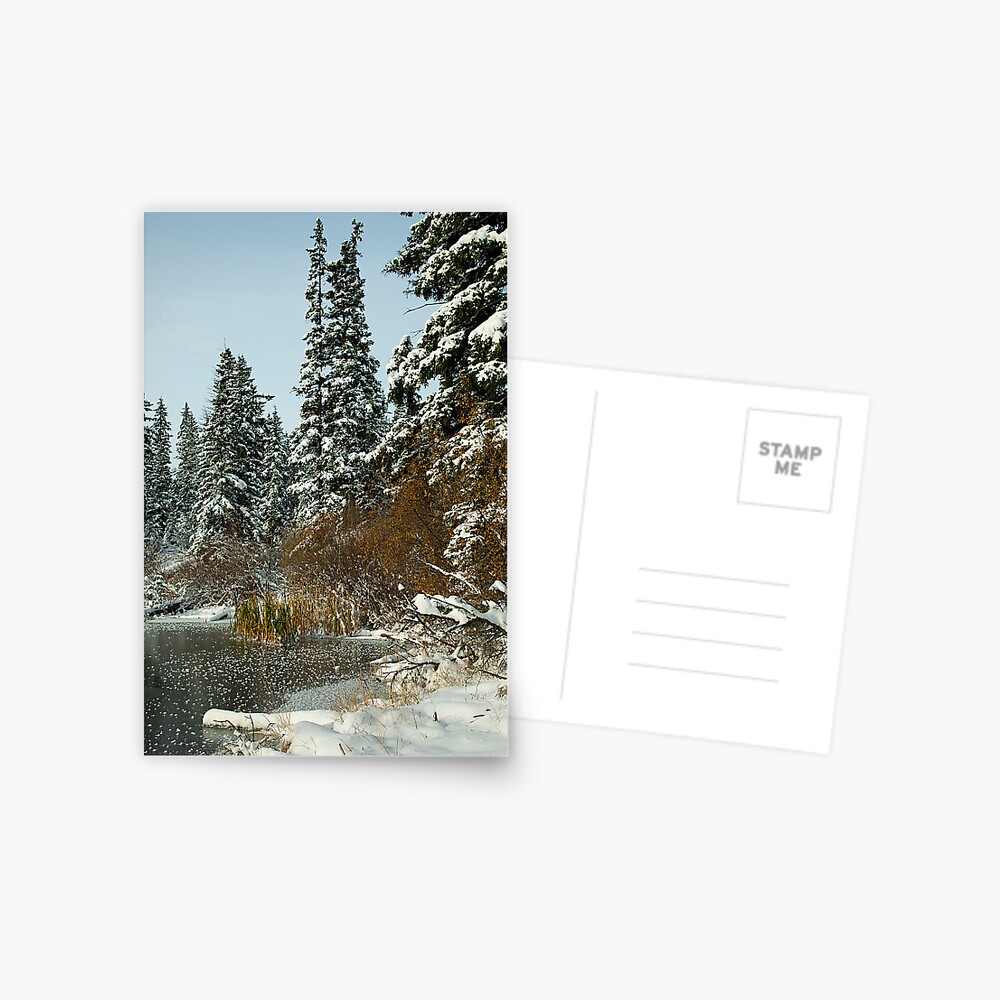 Item preview, Postcard designed and sold by WildRootsArt.