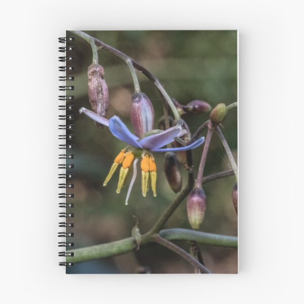 Item preview, Small purple flower with Yellow stamens Leith Park Victoria 20171122 1782  designed and sold by Fred Mitchell.
