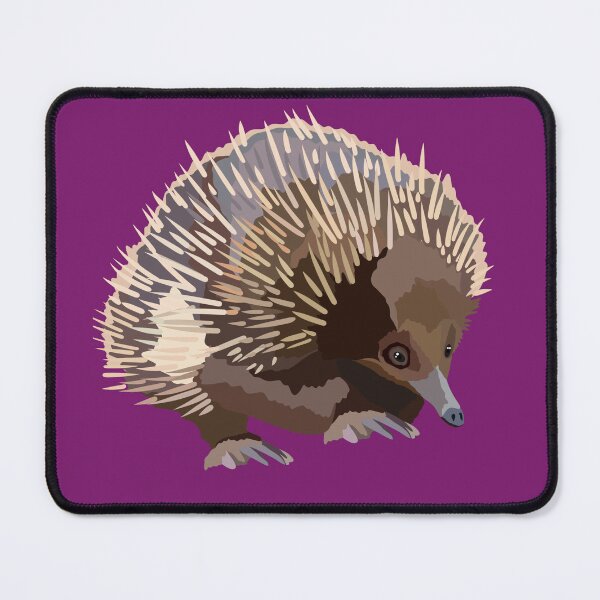 Item preview, E is for Echidna,Echidna: The Spiny, Egg-Laying Mammal of Australia designed and sold by PrettylittlepastelUk.