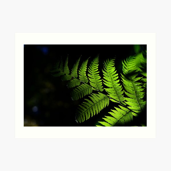 Fingertips of Light..... Art Print