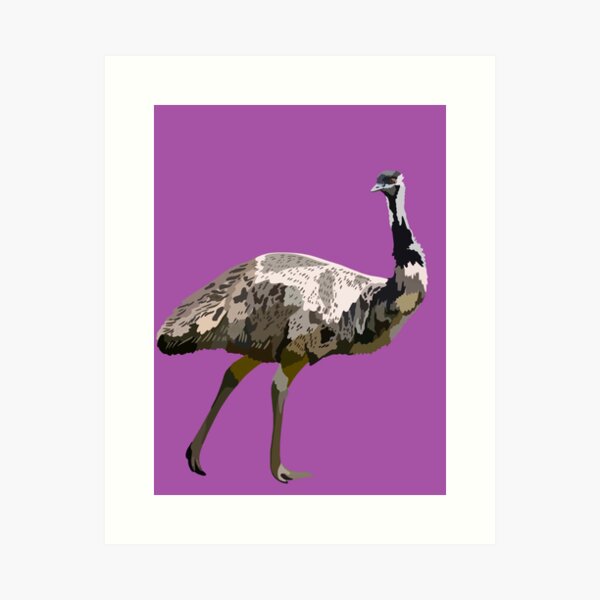 Funny Emu Bird Gifts, Funny Emo Music Quote - Emu Bird Gift