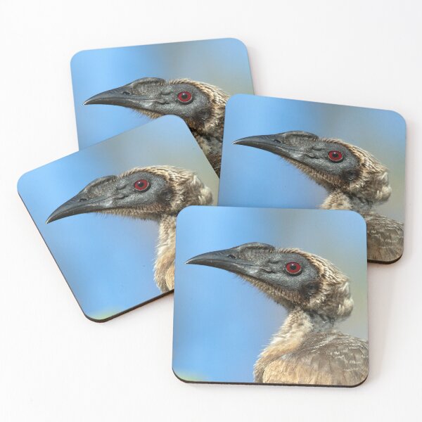 Item preview, Friarbird Portrait designed and sold by Matt Vickery.
