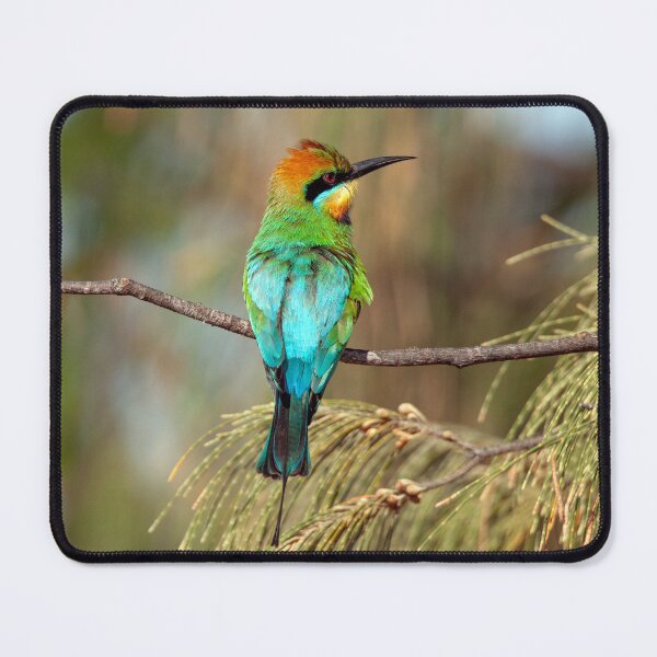 Item preview, Poser designed and sold by Matt Vickery.