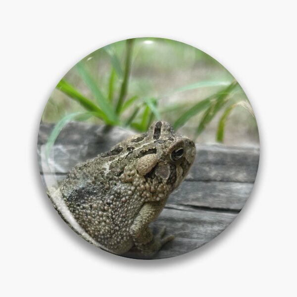 Item preview, Toad designed and sold by speecherri.
