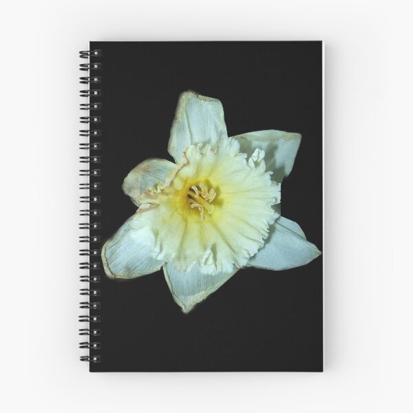 Item preview, white daffodil in space 03/17/18 designed and sold by Shellaqua.