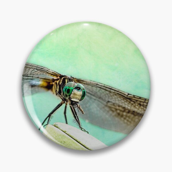Item preview, A Dragonfly And His Bug designed and sold by Kay Brewer.