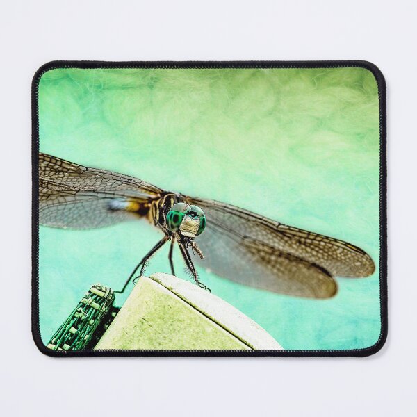 Item preview, A Dragonfly And His Bug designed and sold by Kay Brewer.