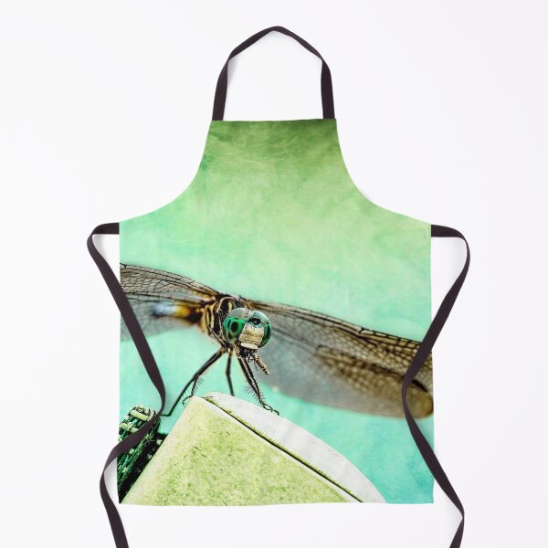 Item preview, A Dragonfly And His Bug designed and sold by Kay Brewer.