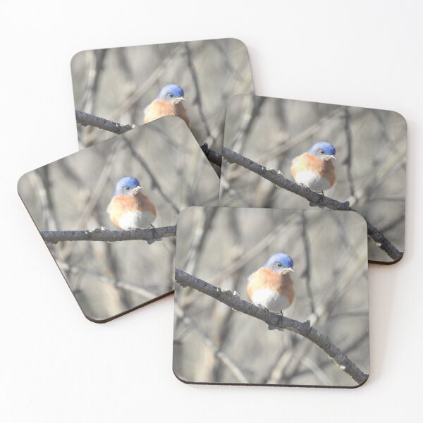 Item preview, Eastern bluebird, wild birds, nature, wildlife designed and sold by Sandra O'Toole.