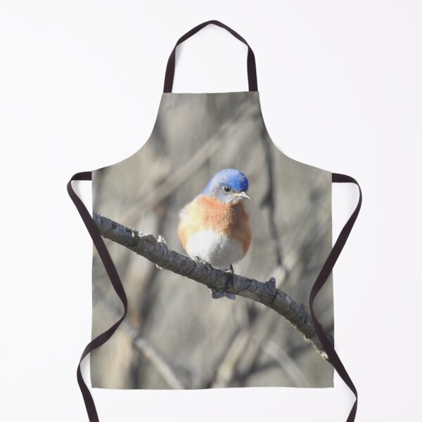 Item preview, Eastern bluebird, wild birds, nature, wildlife designed and sold by Sandra O'Toole.