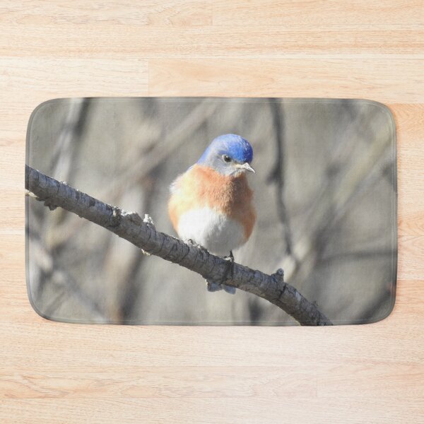 Item preview, Eastern bluebird, wild birds, nature, wildlife designed and sold by Sandra O'Toole.