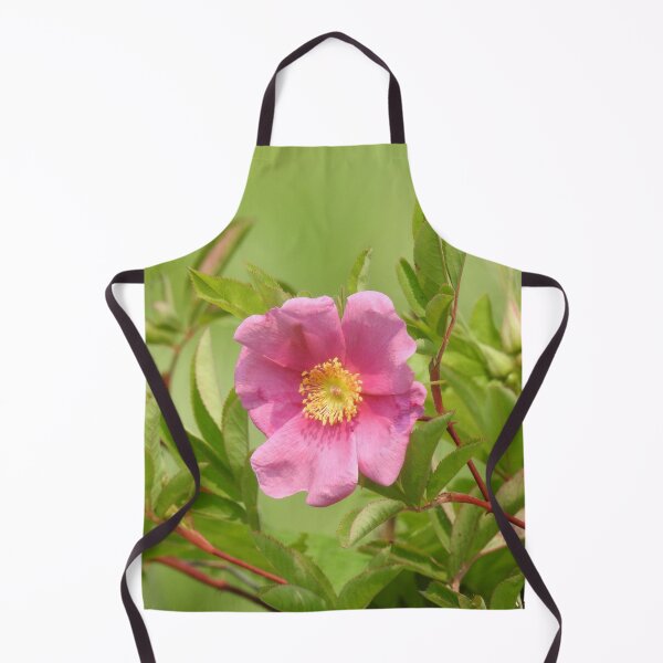 Item preview, Swamp Rose, wildflowers, nature photography designed and sold by Sandra O'Toole.
