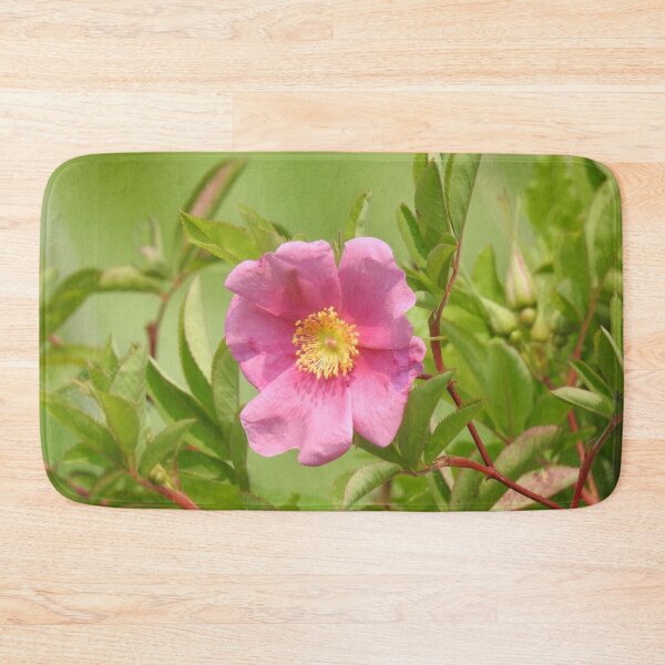 Item preview, Swamp Rose, wildflowers, nature photography designed and sold by Sandra O'Toole.