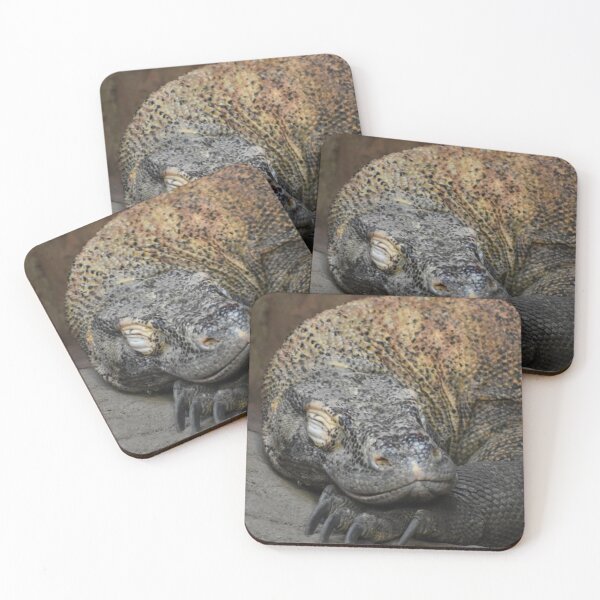 Item preview, Komodo Dragon  designed and sold by Sharon the Zoo Lady Photography .