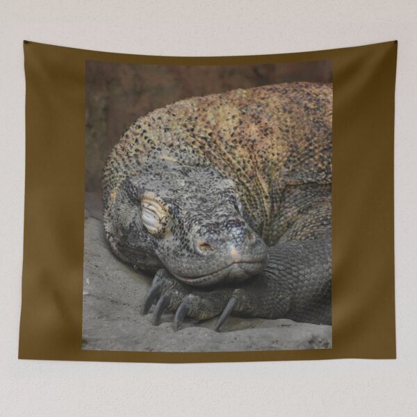 Item preview, Komodo Dragon  designed and sold by Sharon the Zoo Lady Photography .
