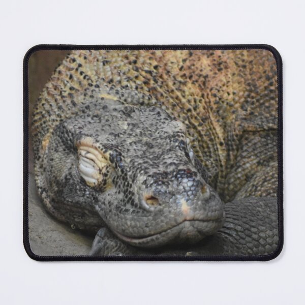 Item preview, Komodo Dragon designed and sold by Sharon the Zoo Lady Photography .