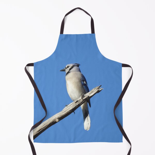 Item preview, Blue Jay, wild birds, waterfowl, nature photography designed and sold by Sandra O'Toole.