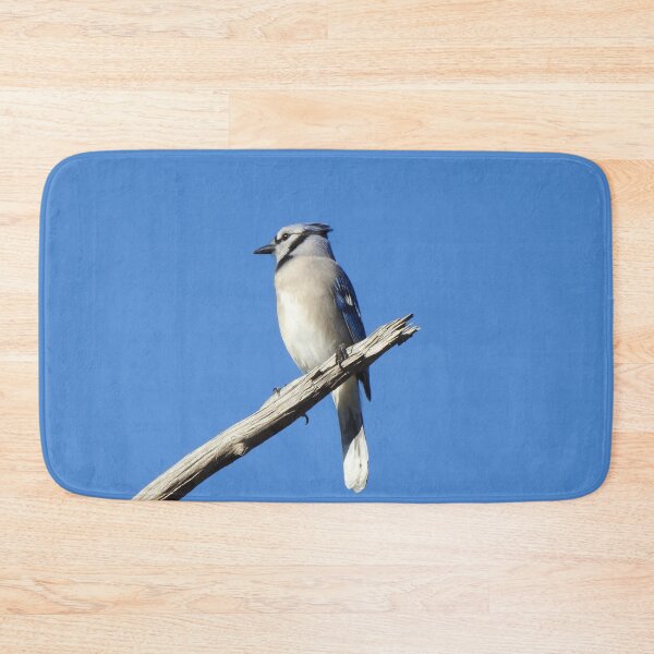 Item preview, Blue Jay, wild birds, waterfowl, nature photography designed and sold by Sandra O'Toole.