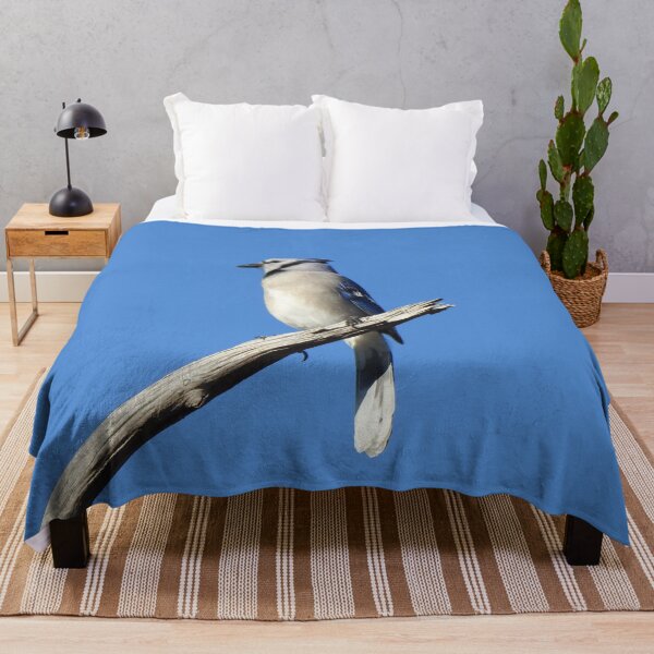 Item preview, Blue Jay, wild birds, waterfowl, nature photography designed and sold by Sandra O'Toole.