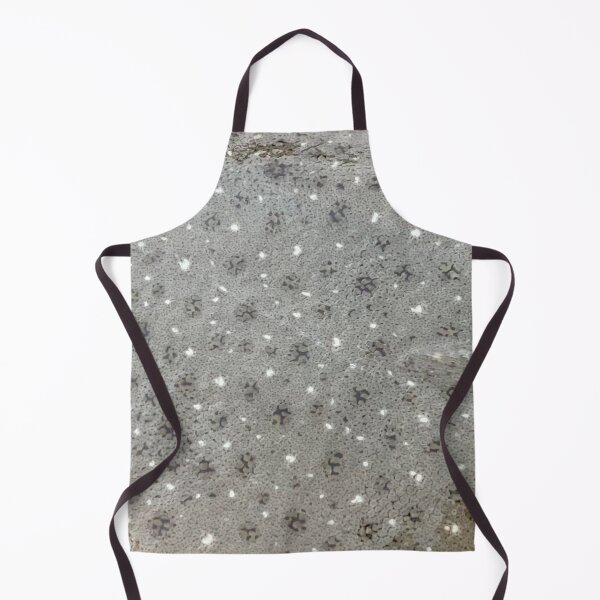 Item preview, Windowpane (Sundial) Flounder Skin Pattern designed and sold by CJRPics.