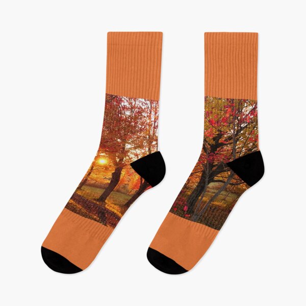 Item preview, Sunlight through fall red leaves maple trees designed and sold by naturematters.