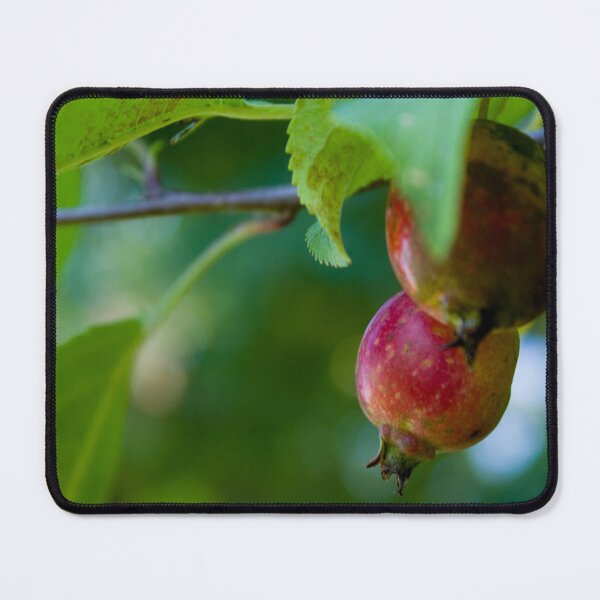 Item preview, A pair of wild apples designed and sold by Thilina Kasthuriarachchi.
