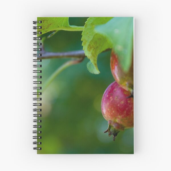 Item preview, A pair of wild apples designed and sold by Thilina Kasthuriarachchi.
