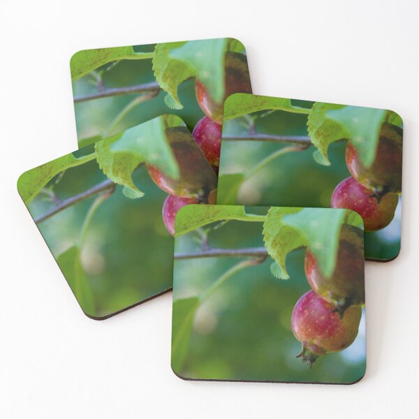 Item preview, A pair of wild apples designed and sold by Thilina Kasthuriarachchi.