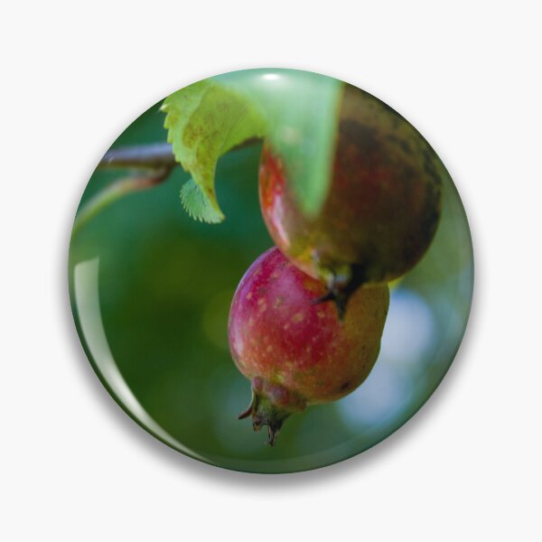 Item preview, A pair of wild apples designed and sold by Thilina Kasthuriarachchi.