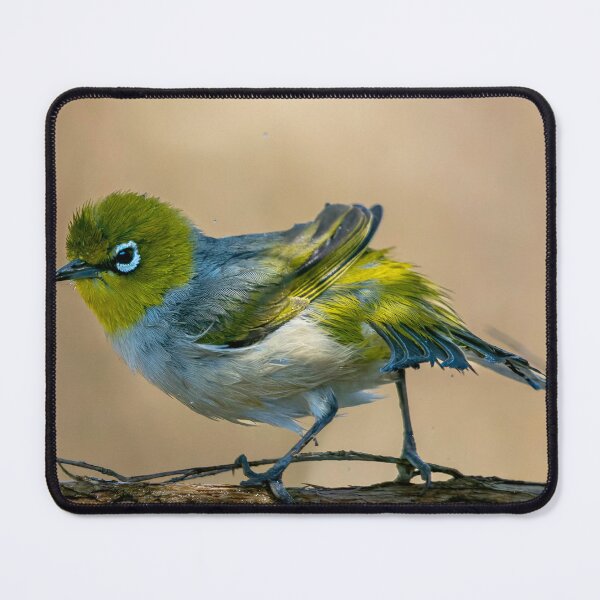 Item preview, Silver Eye designed and sold by sandraanderson.