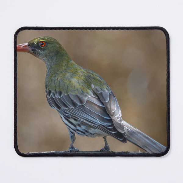 Item preview, Olive Backed Oriole designed and sold by sandraanderson.