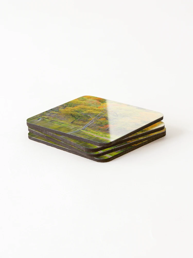 Thumbnail 4 of 5, Coasters (Set of 4), Fish Check Bennett Spring designed and sold by mljdwhite.