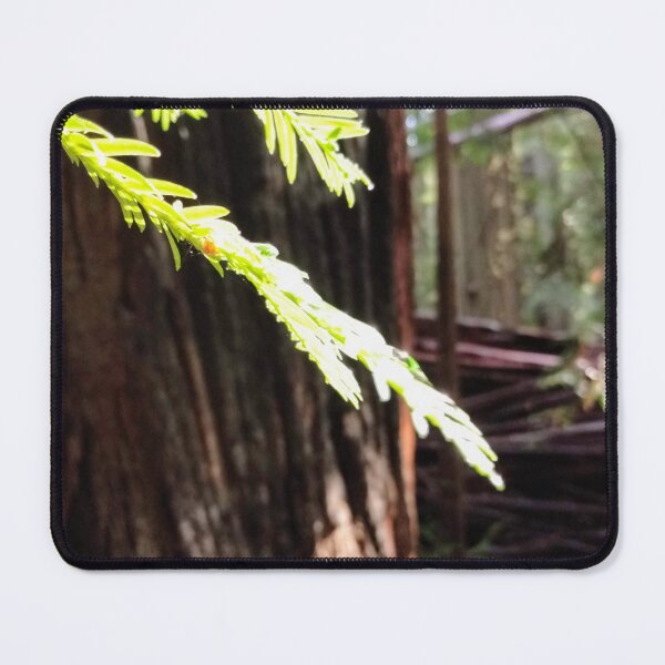 Item preview, New Among Old designed and sold by LadyCain.