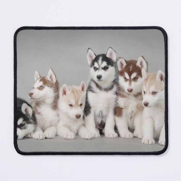 Item preview, Six husky puppies designed and sold by PetsArt.