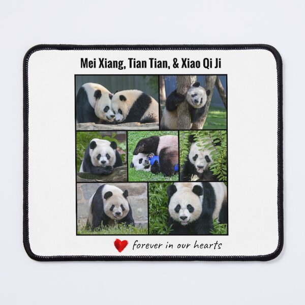 Item preview, National Zoo Panda "Forever in Our Hearts" designed and sold by Zoo and Nature Photography by Karie.