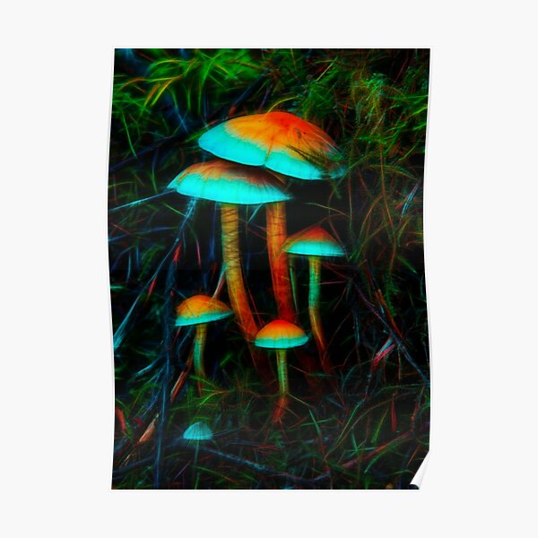 Psychedelic Mushrooms Poster