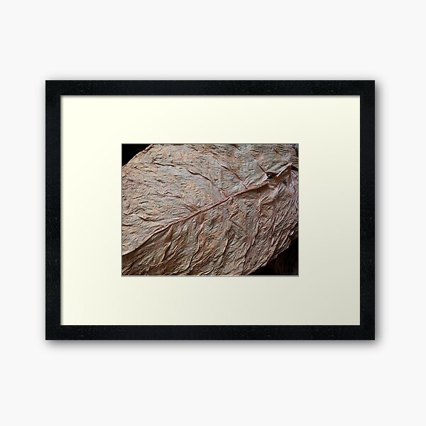 Detail, Tobacco Leaf Framed Art Print