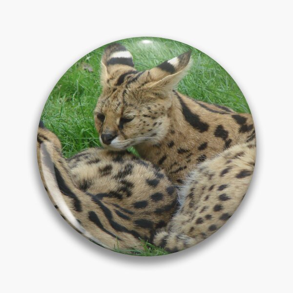 Item preview, Servals In The Wild designed and sold by TheAnimalZ00.