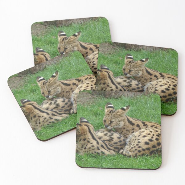 Item preview, Servals In The Wild designed and sold by TheAnimalZ00.