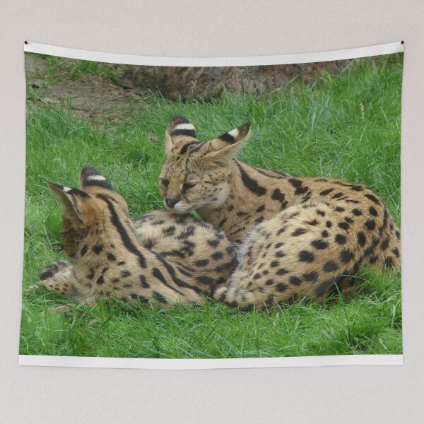 Item preview, Servals In The Wild designed and sold by TheAnimalZ00.