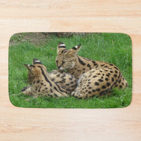Item preview, Servals In The Wild designed and sold by TheAnimalZ00.