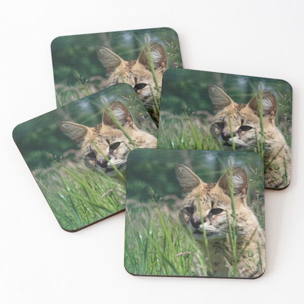 Item preview, Serval In The Grass designed and sold by TheAnimalZ00.