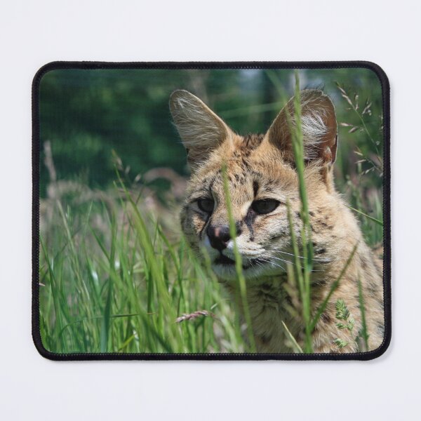 Item preview, Serval In The Grass designed and sold by TheAnimalZ00.