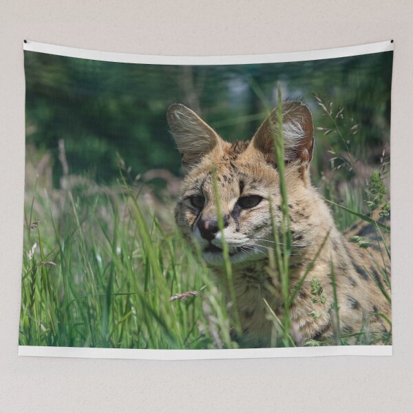 Item preview, Serval In The Grass designed and sold by TheAnimalZ00.