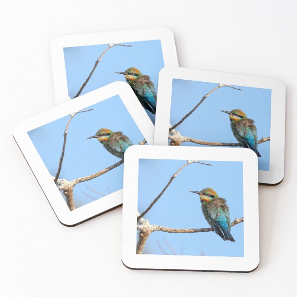 Item preview, Rainbow Bee-eater designed and sold by Matt Vickery.